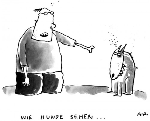 Hunde