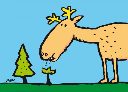 Weihnachtskarte2