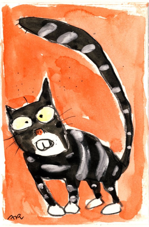 Katze kuckt