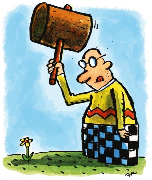 Frühling