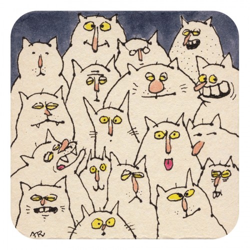 Katzenparty